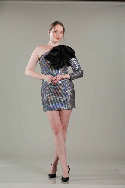 Silver Shimmer Dress - Sakshi Narula