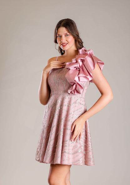 Rose Pink Dress - Sakshi Narula